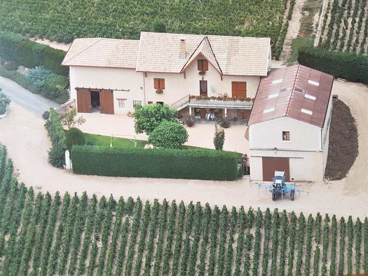 Chambres D Hotes Au Domaine De Robert フルーリー エクステリア 写真